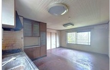 　現地写真